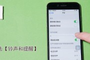 如何准确鉴别iPhone手机型号？（一步步教你辨别iPhone手机型号的方法和技巧）