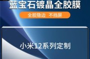 如何鉴别蓝宝石屏幕的真伪？（揭秘蓝宝石屏幕背后的识别方法与技巧）