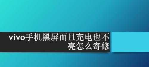 Vivo手机有反应但屏幕黑屏怎么办？（解决Vivo手机屏幕黑屏问题的有效方法）