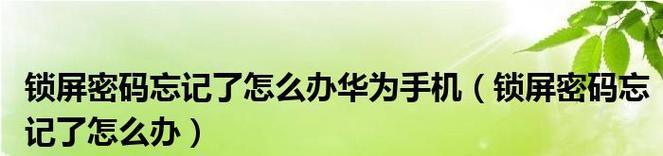 华为手机锁屏密码忘了怎么办？（忘记华为手机锁屏密码？别担心，这里有解决办法！）