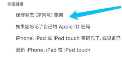 如何查询iPhone的激活日期（快速了解你的iPhone激活时间，掌握手机使用情况）