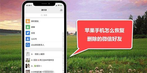 提高iPhone清理效果的五个技巧（让您的iPhone保持最佳状态的关键方法）