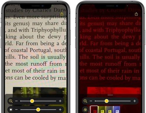苹果放大镜功能的使用指南（发现苹果设备上强大的放大镜功能，助你更轻松地阅读和观察细节）