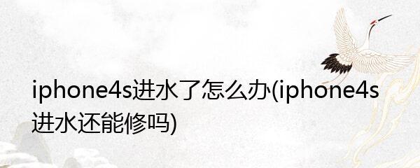 iPhone进水了怎么办？救援指南全解析（如何有效处理iPhone进水问题，避免损坏设备？）