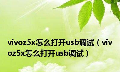 解决vivo连接电脑不弹出usb调试的问题（轻松解决vivo手机无法进行usb调试连接电脑的故障）