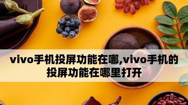 vivo手机如何投屏到电视？（详细教程，一步一步带你完成投屏操作）