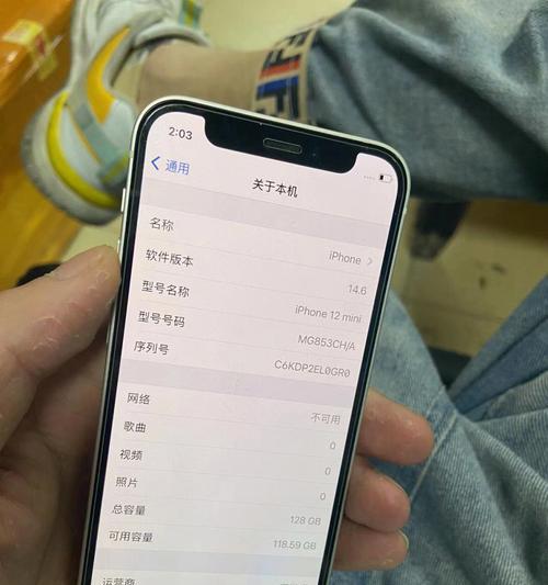 掌握iPhone双屏操作，提升手机使用效率（解锁iPhone双屏新玩法，让你的手机更加强大）