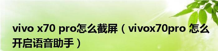 探索vivo语音助手唤醒方法的实用技巧（提升vivo语音助手唤醒的准确性和便捷性）