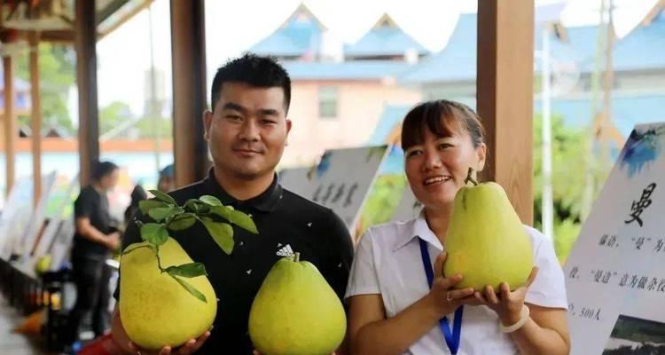 以早柚种植的注意事项及方法（学习如何成功种植早柚，提高收成率）