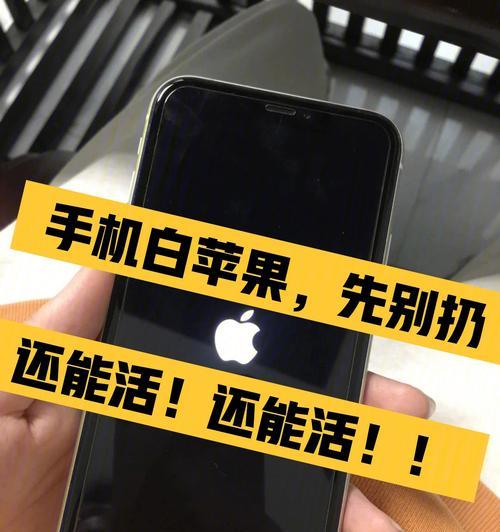 解决iPhone开机白苹果闪烁问题的有效方法（针对iPhone开机白苹果闪烁，教你如何解决）