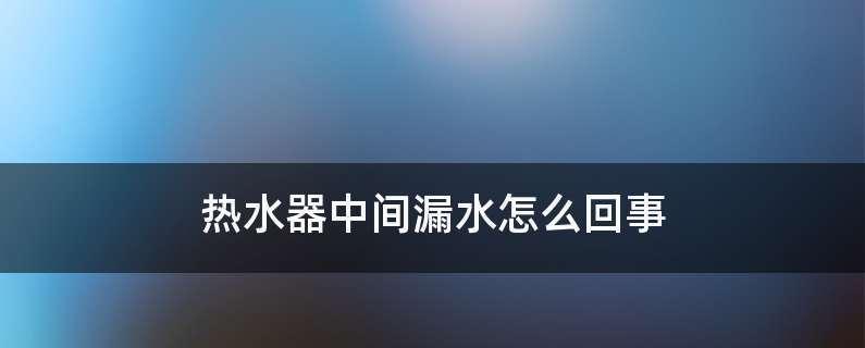 热水器过滤棒漏水的原因与解决方法（遇到热水器过滤棒漏水问题）