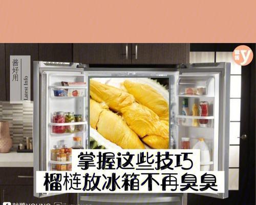 冰箱异味清除秘籍（告别冰箱异味）