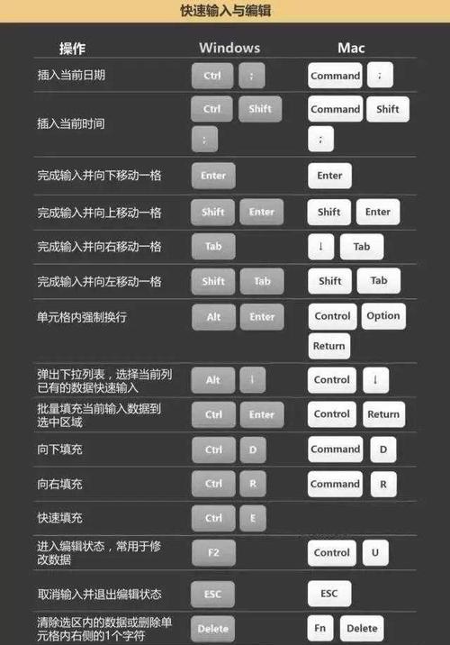 Mac撤销恢复快捷键是什么（掌握Mac撤销恢复快捷键）