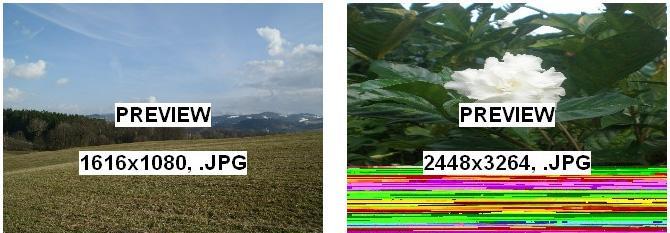 将CR2文件转换为JPG格式的简便方法（快速）