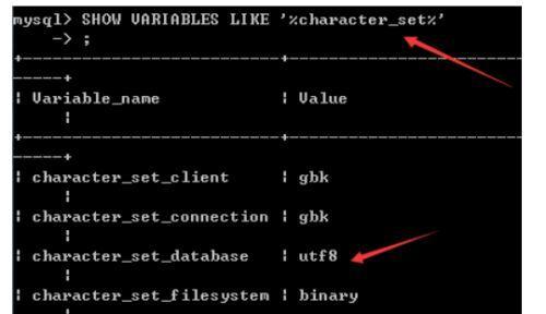 MySQL数据库基础知识解析（了解MySQL数据库的核心概念和基本操作）