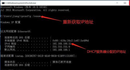 域名解析IP在线查询的重要性（掌握域名解析IP在线查询）