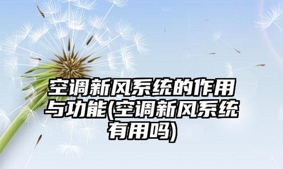 清洁中央空调的技巧（解决中央空调粉尘问题的有效方法）