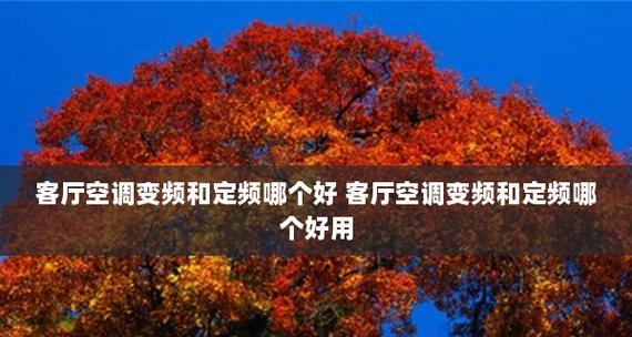 空调变频和定频的区别及选择哪个更好（深入探讨空调变频与定频技术的优缺点）