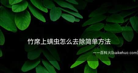 杀螨神器（无螨生活从这一招开始）