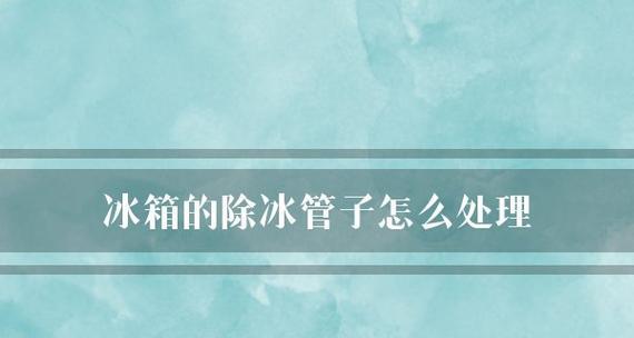 冲洗冰箱管道的正确方法（保持冰箱清洁和延长使用寿命的关键）