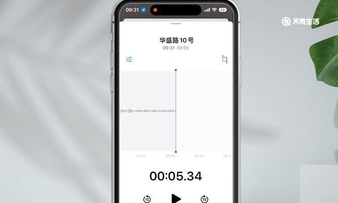 苹果手机接打电话录音的方法及技巧（轻松掌握苹果手机通话录音功能）