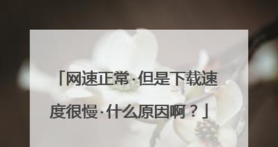 网速慢的原因及解决方法（探寻网络速度缓慢的根源）