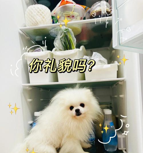 以冰柜犬的养殖方法（培养健康）