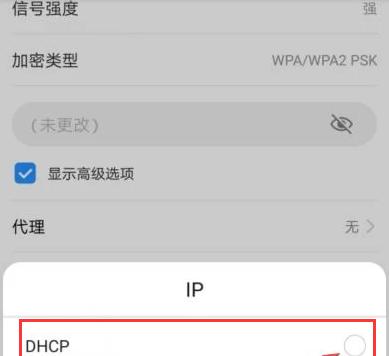 手机连接WiFi却无法上网，问题出在哪（分析解决手机无法上网问题的关键步骤）