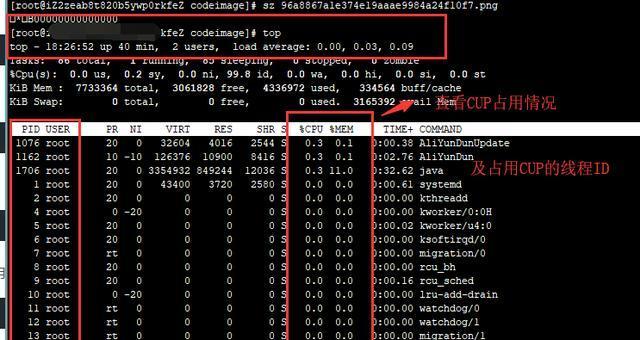 解决CPU占用100%问题的方法（禁用导致高CPU占用的进程）