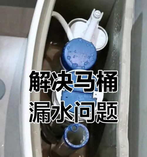 解决马桶不上水问题的方法（乐瑞马桶不上水的原因及修复技巧）