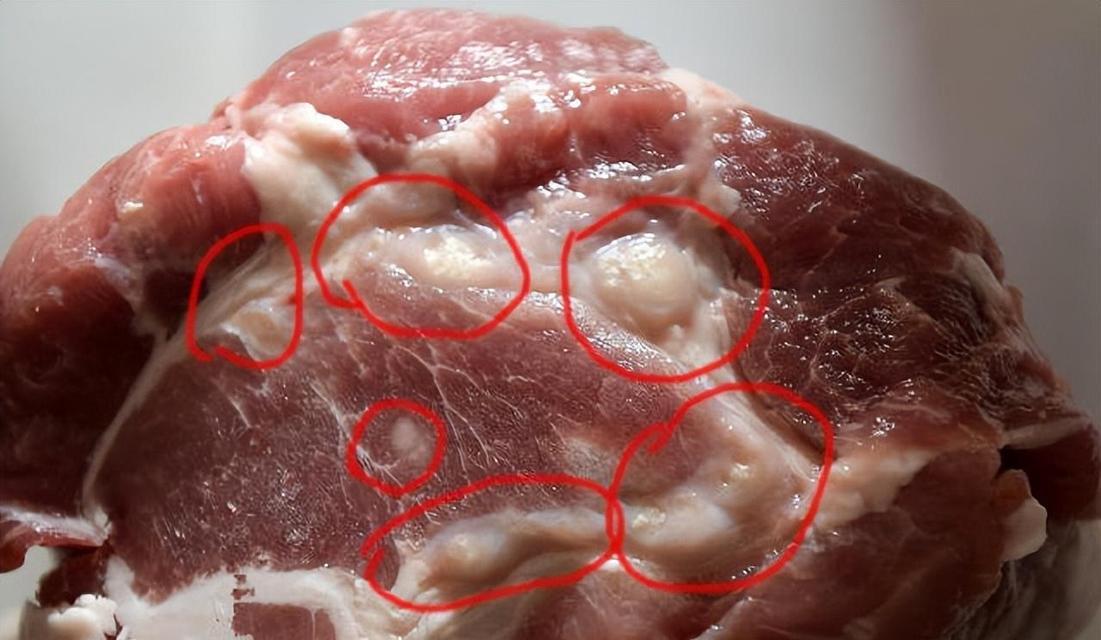 肉类冷冻保存时间多久（正确冷冻的关键是什么）