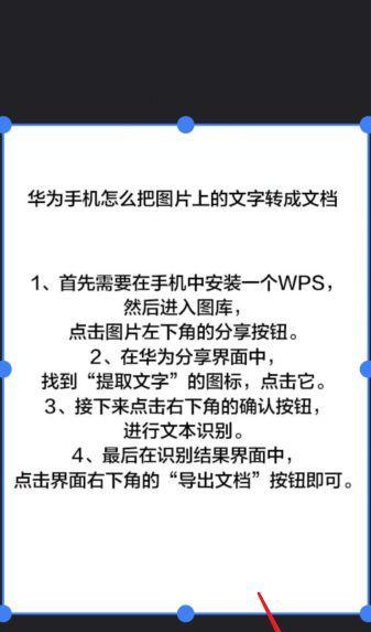 如何截图提取文字？遇到问题怎么办？