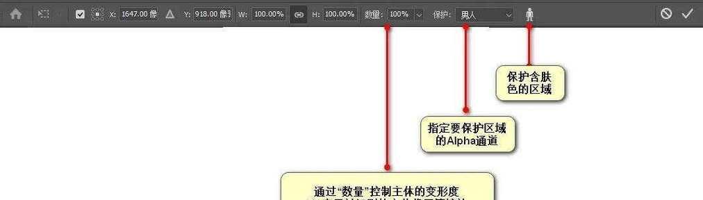 PS如何实现缩放固定比例？遇到问题怎么办？