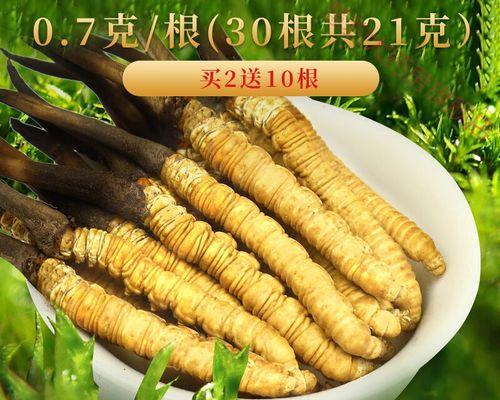 新鲜虫草怎么保存？最佳存储方法是什么？